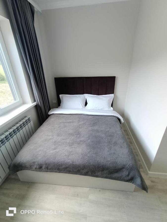 Hotel Kolsay Eki Agayindy Kurmenty Extérieur photo